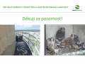 Agro - linka na pelety